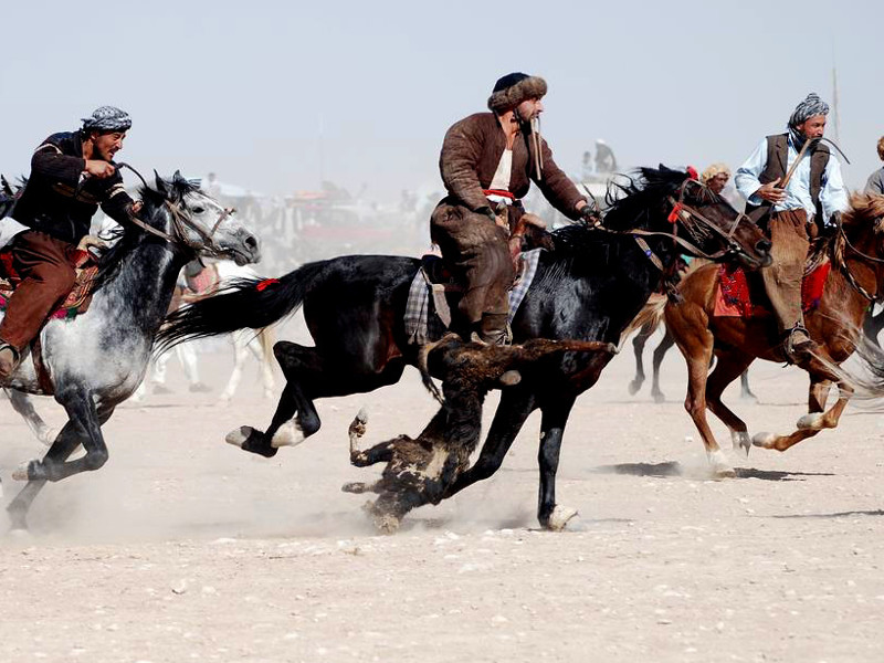 Traditional Asian Horse Sports